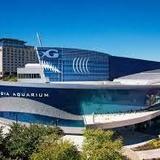 Georgia Aquarium