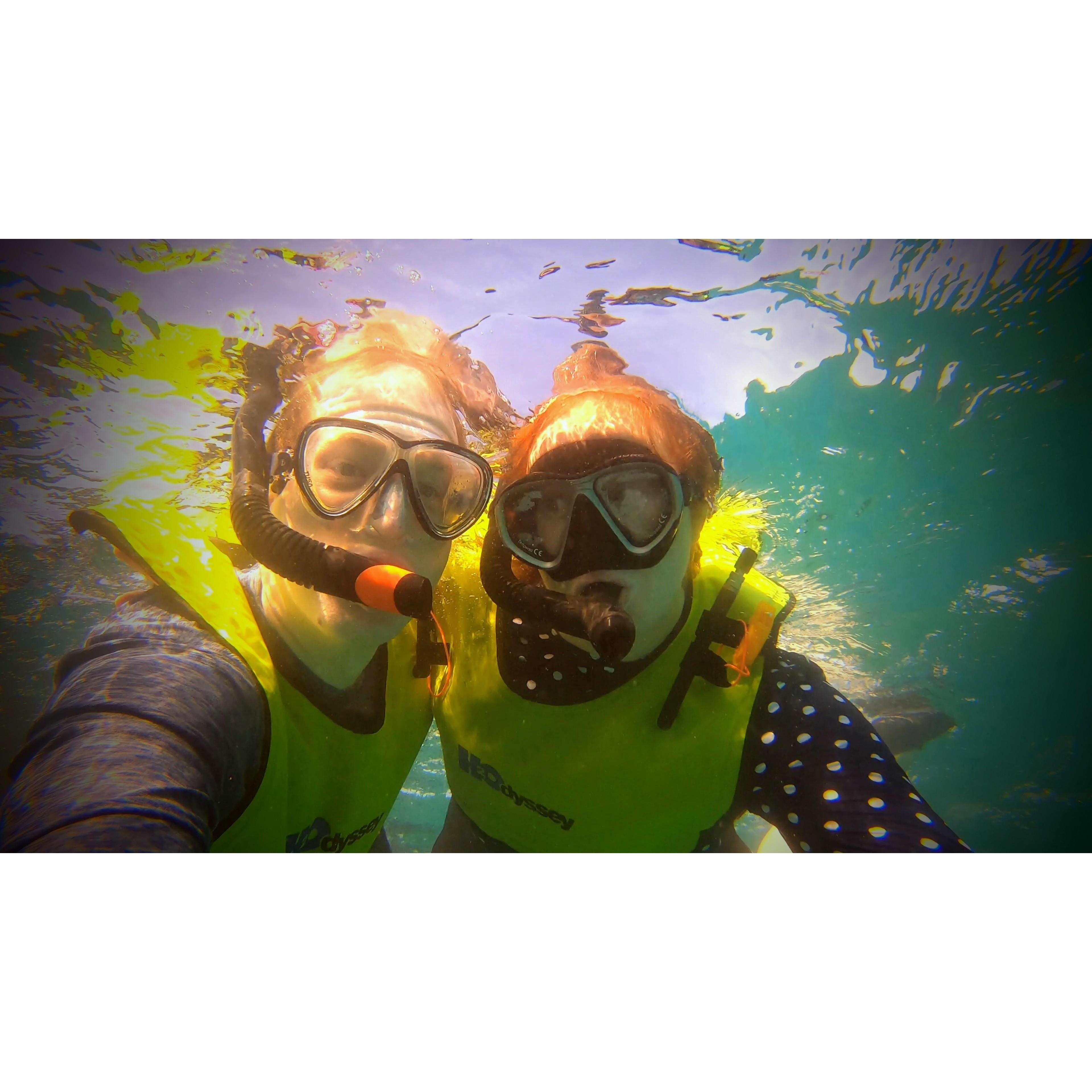 Snorkeling in Florida