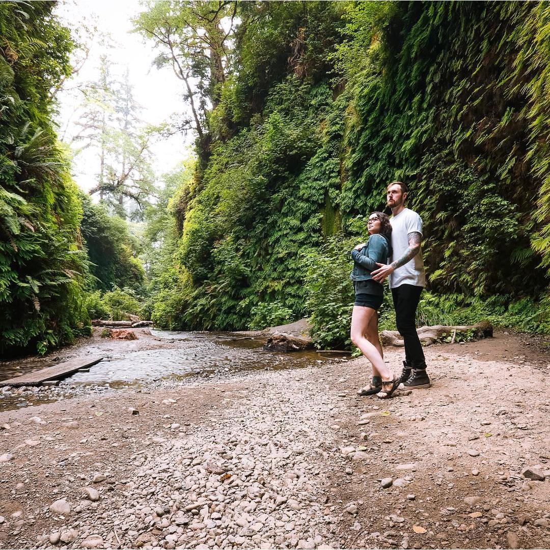 Fern Canyon, Redwoods