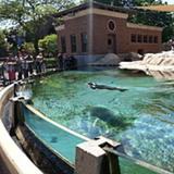 Lincoln Park Zoo