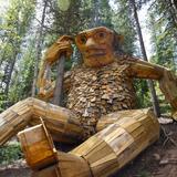The Troll