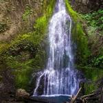 Marymere Falls Trailhead