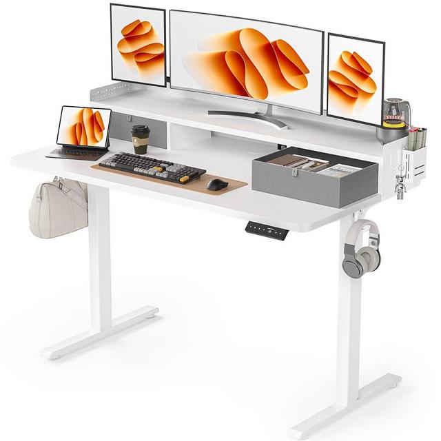 WALKINGDESK 48x24 Inches Electric Standing Desk with 2 Drawers, Height Adjustable Stand up Desk for Home Office, Ergonomic Sit to Stand Table with Storage Shelf, DIY Board, Hooks, White