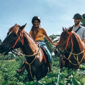 Horseback Riding On Our Honeymoon