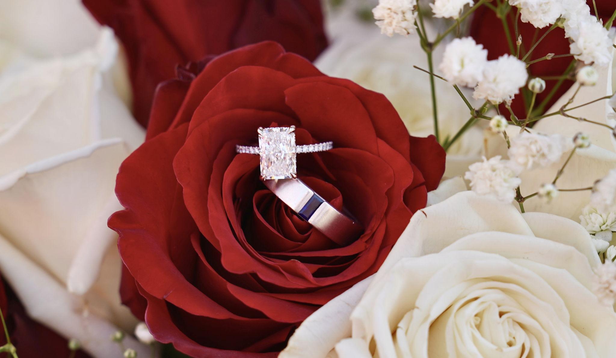 Hero Slideshow Image 1