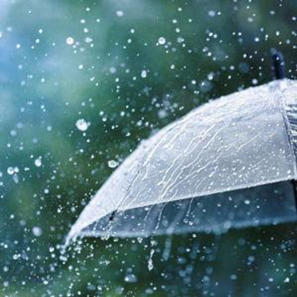 Our newlywed rainy day fund