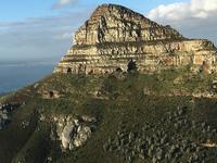 Lion's Head