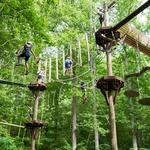 Highlands Aerial Park