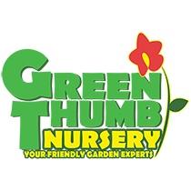 Gardening and Houseplants from Local Nursery