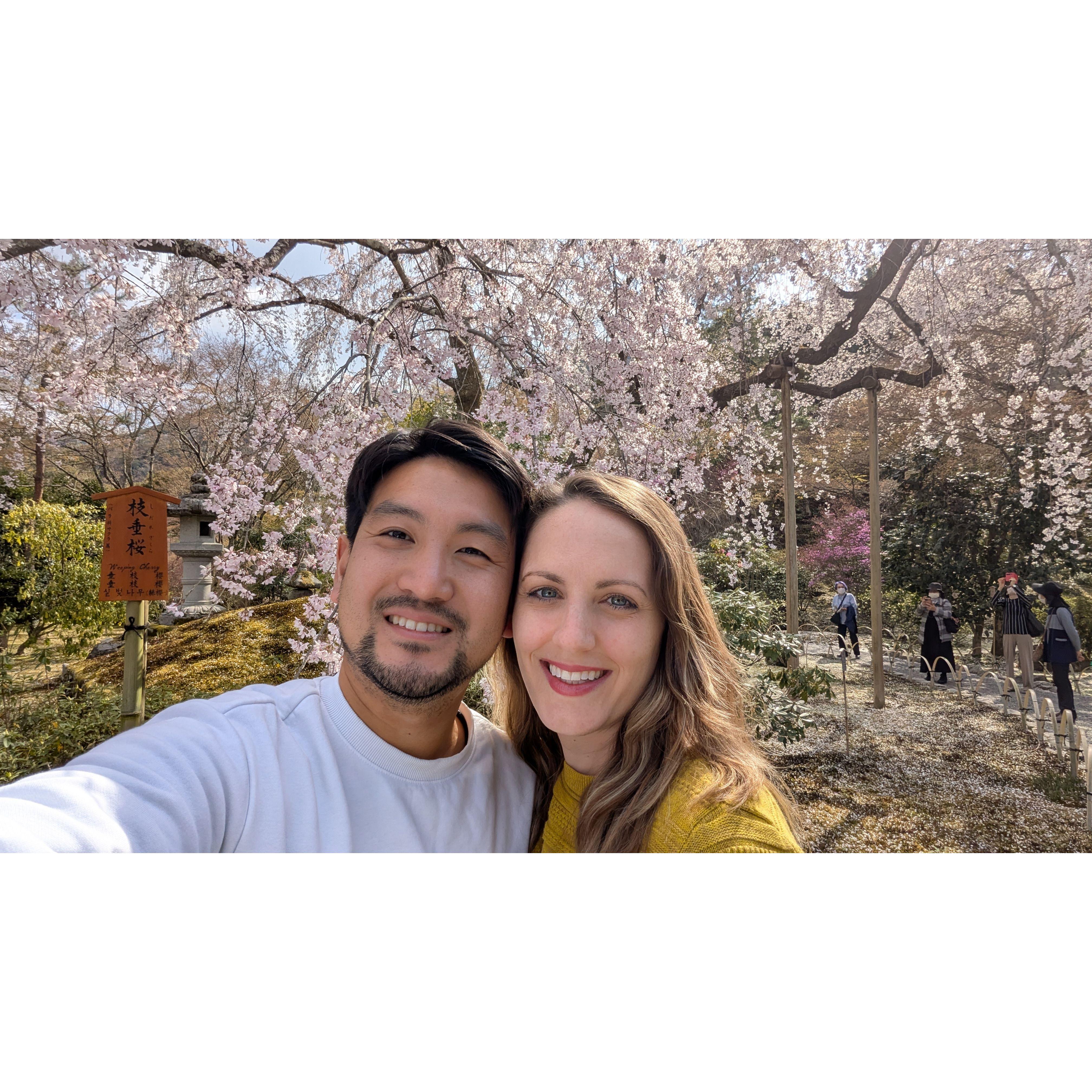 Sakura season in Japan!