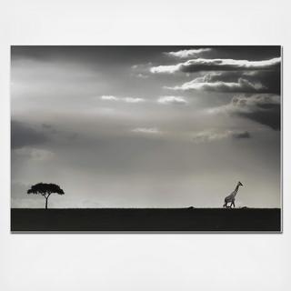 Giraffe on the Horizon Wall Art