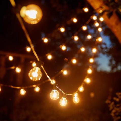 Twinkle Outdoor Lights
