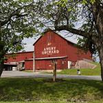 Angry Orchard Cider House