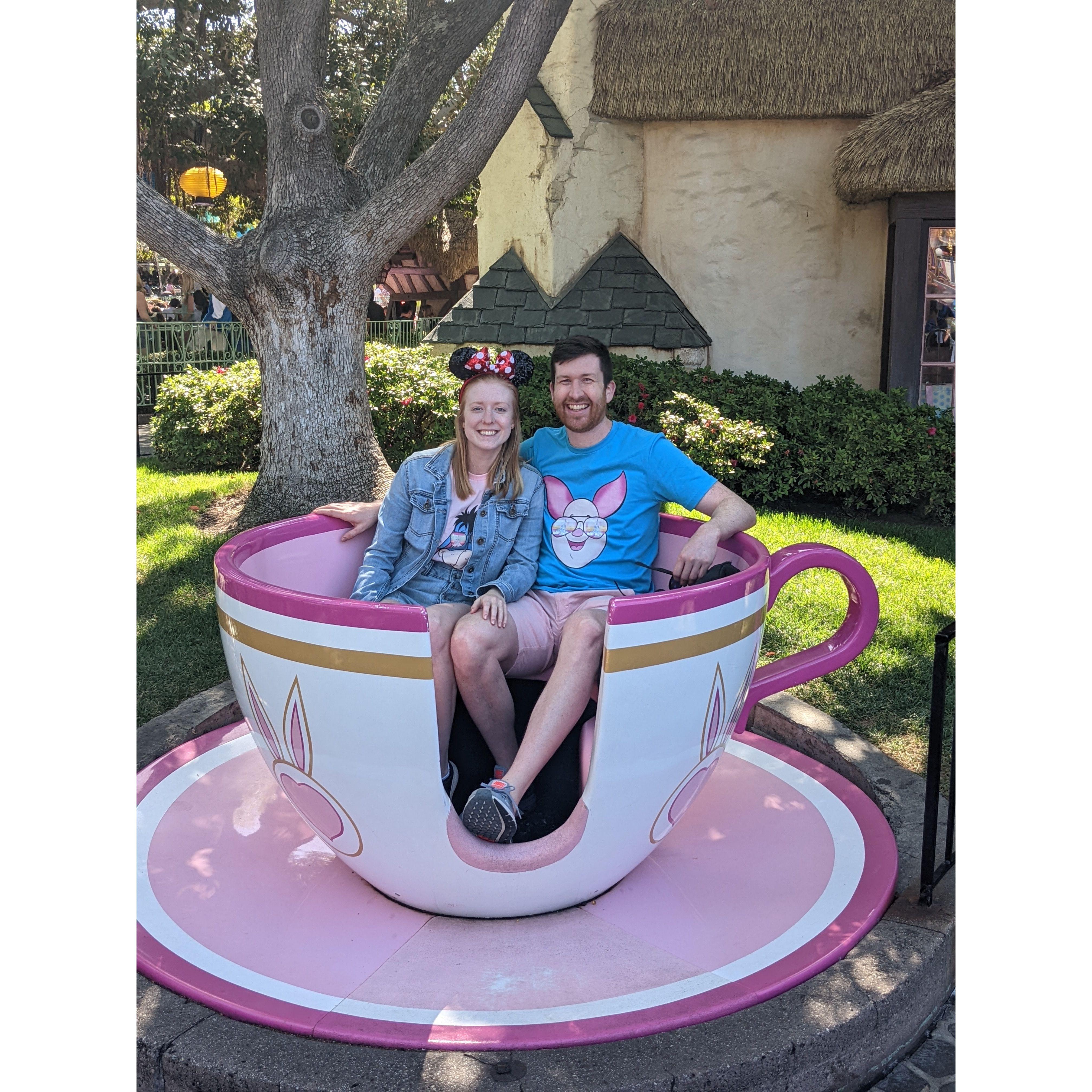 A couple of mice in a teacup