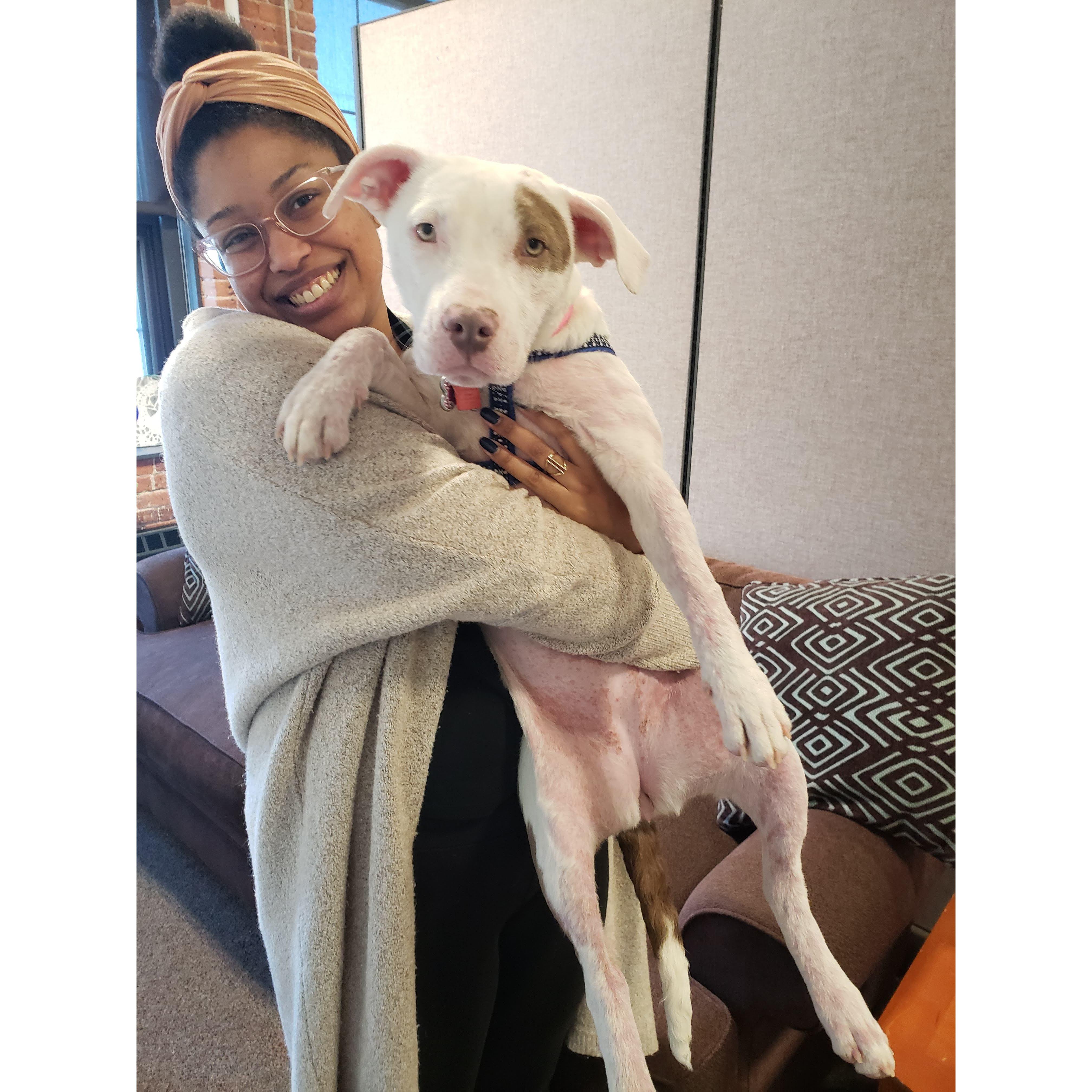 She LOVES going into the office to cuddle and play with all her friends.