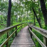 Edward L. Ryerson Conservation Area
