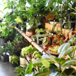 Sierra Water Gardens