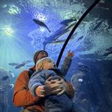 Oregon Coast Aquarium