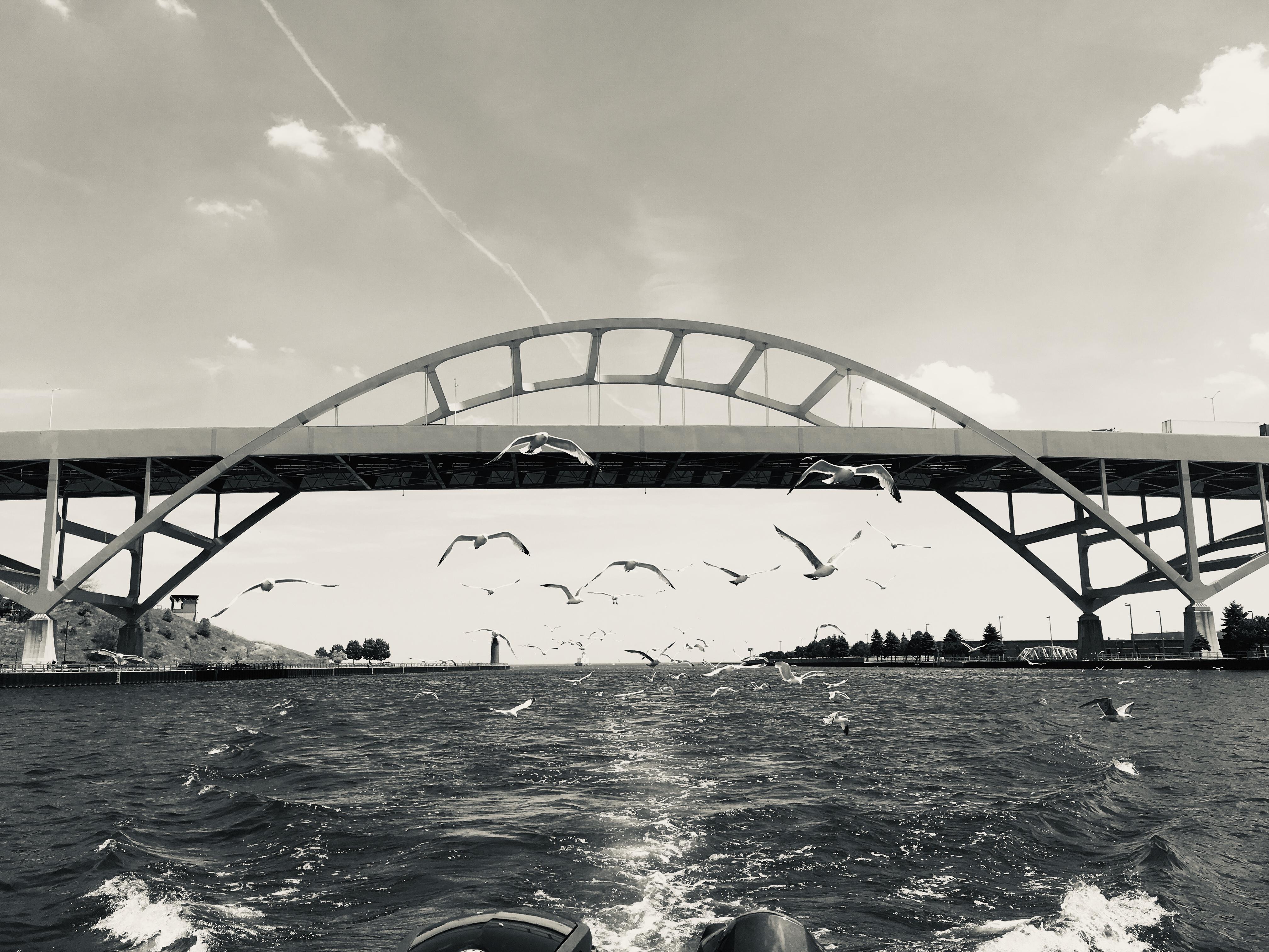The Wedding Website of Erin Guszkowski and Craig Winterland