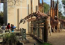 Fresno Chaffee Zoo