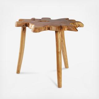 Ancient Coffee Table