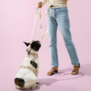 Luna Medium 6-in-1 Waterproof Hands-Free Leash & Collar