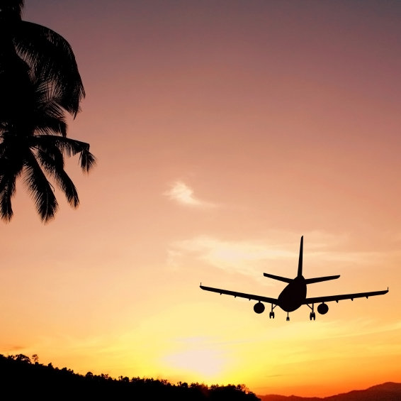 Honeymoon Flights