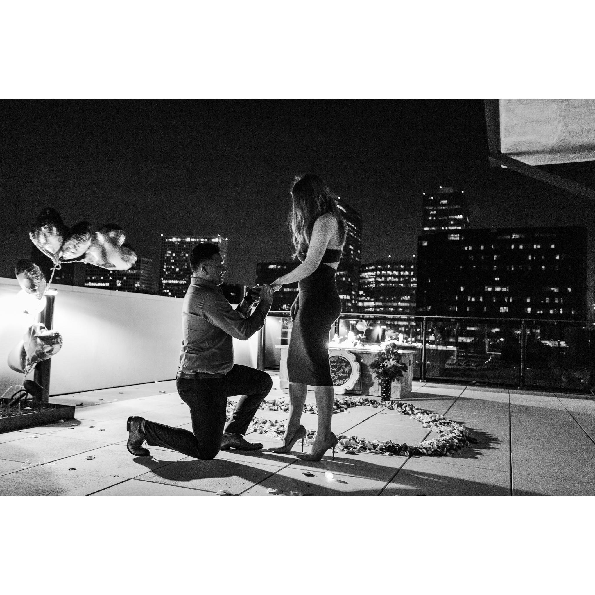 The proposal!