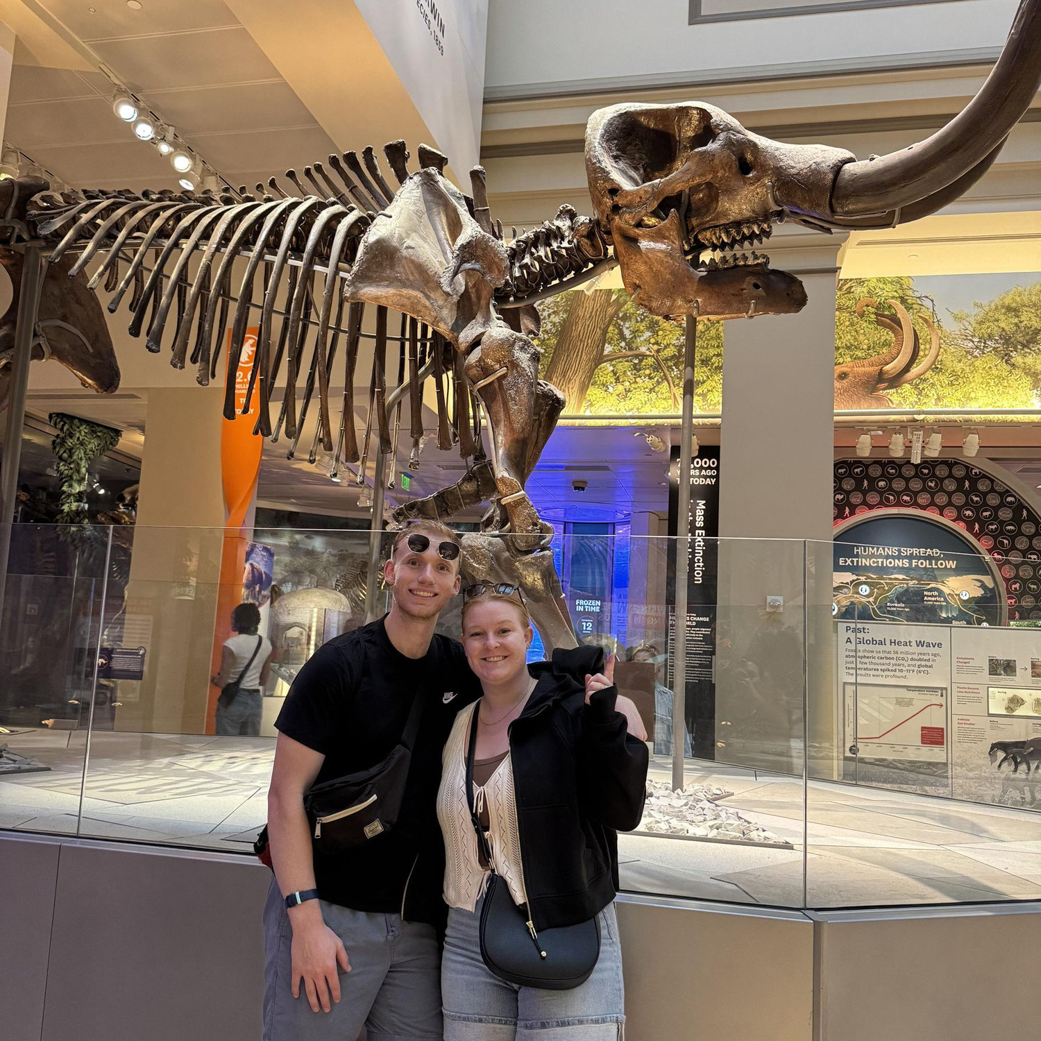 Museum of National History