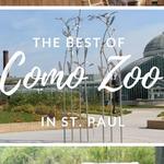 Como Park Zoo & Conservatory