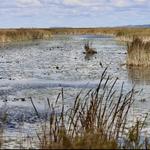 Horicon Marsh Education and Visitor Center