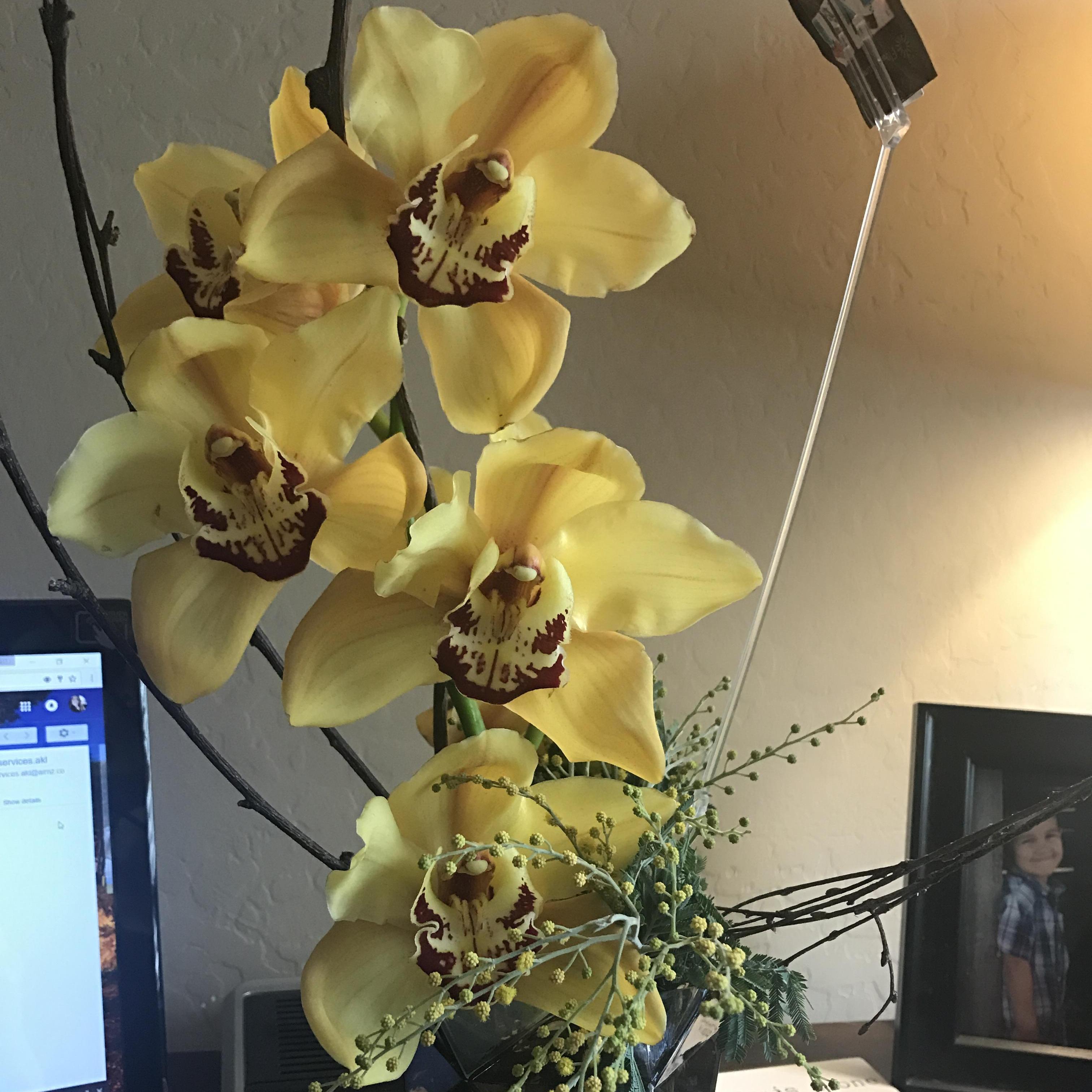 I had the flu and these show up at my door step!