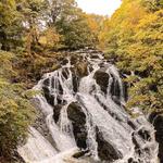 Swallow Falls State Park