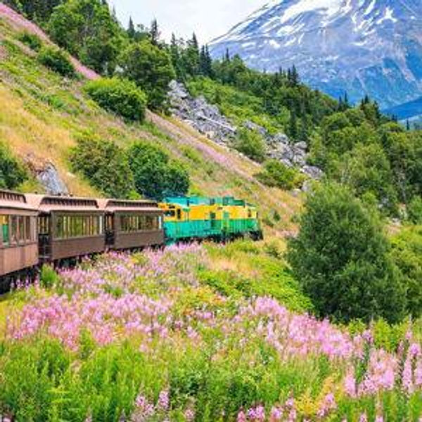 Countryside Train Ride