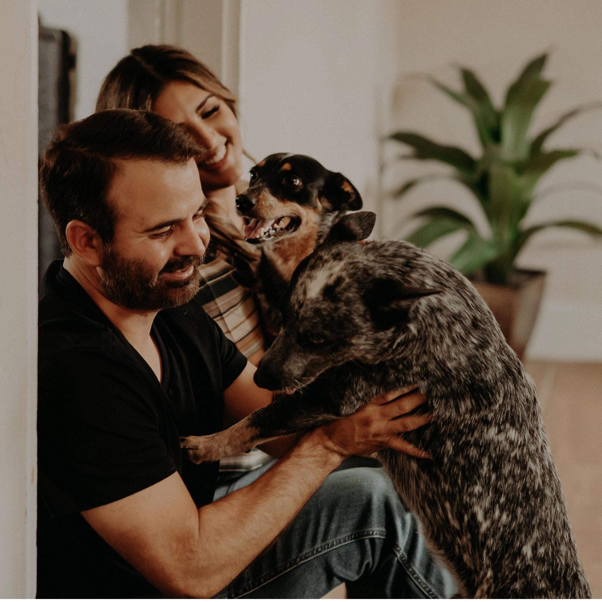 Jordy and Pepper. 
These two fur babies keep us busy! Shaun is an amazing fur dad to these two rambunctious souls, and we wouldn't have it any other way!