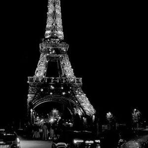Honeymoon In Paris