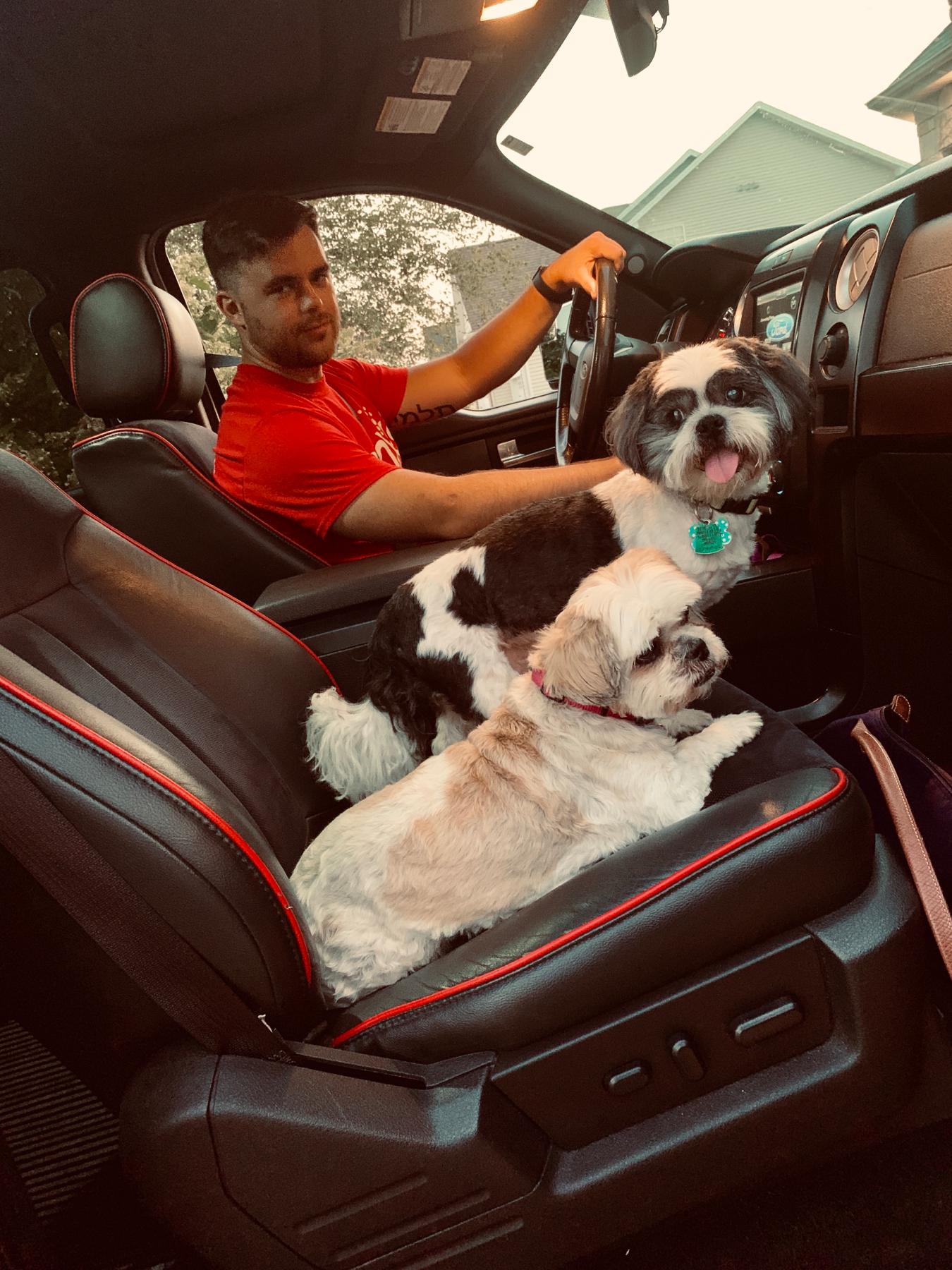 One of many trips to Dairy Queen with our furry friends!