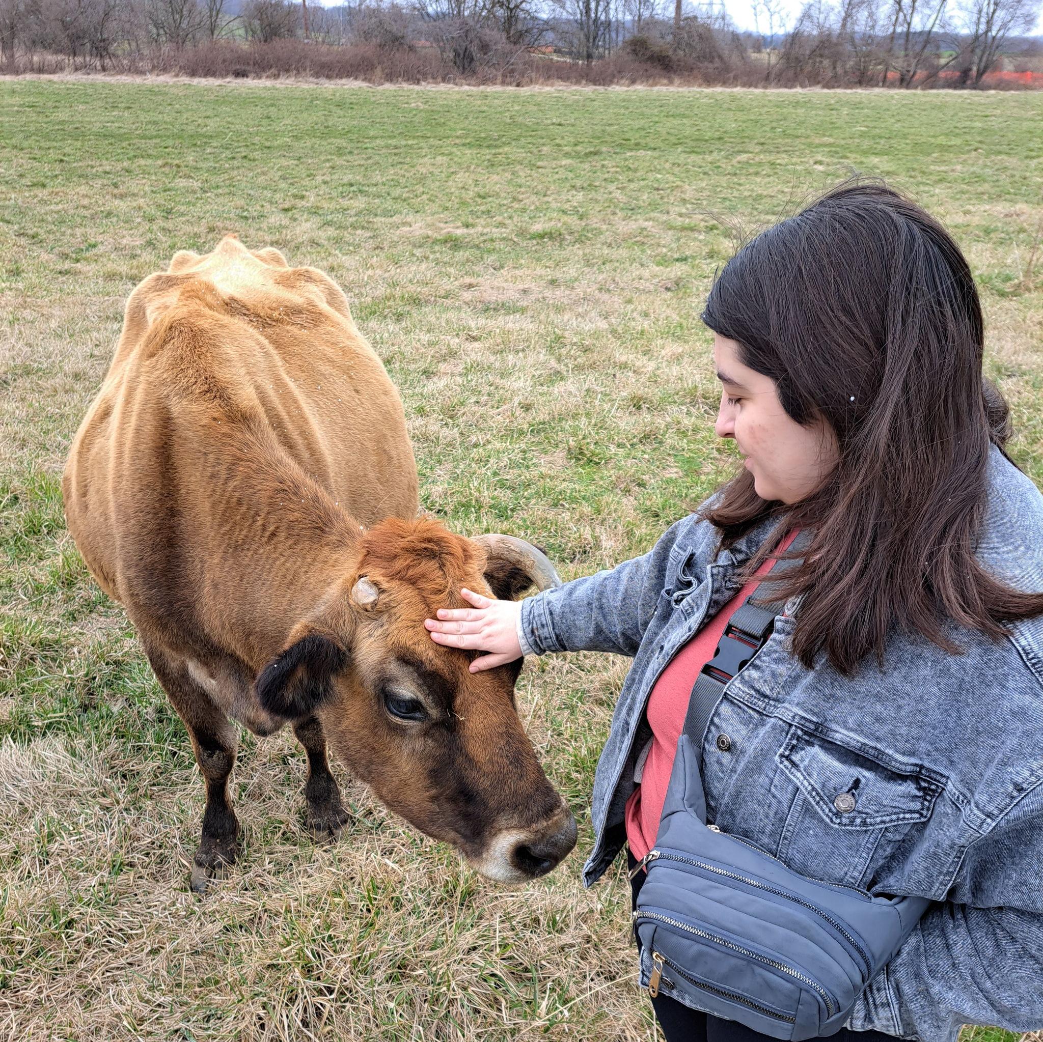 Meeting the cows before we make custom flavored ice cream at a creamery