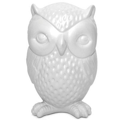 Owl Coin Bank