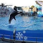 SeaWorld San Diego