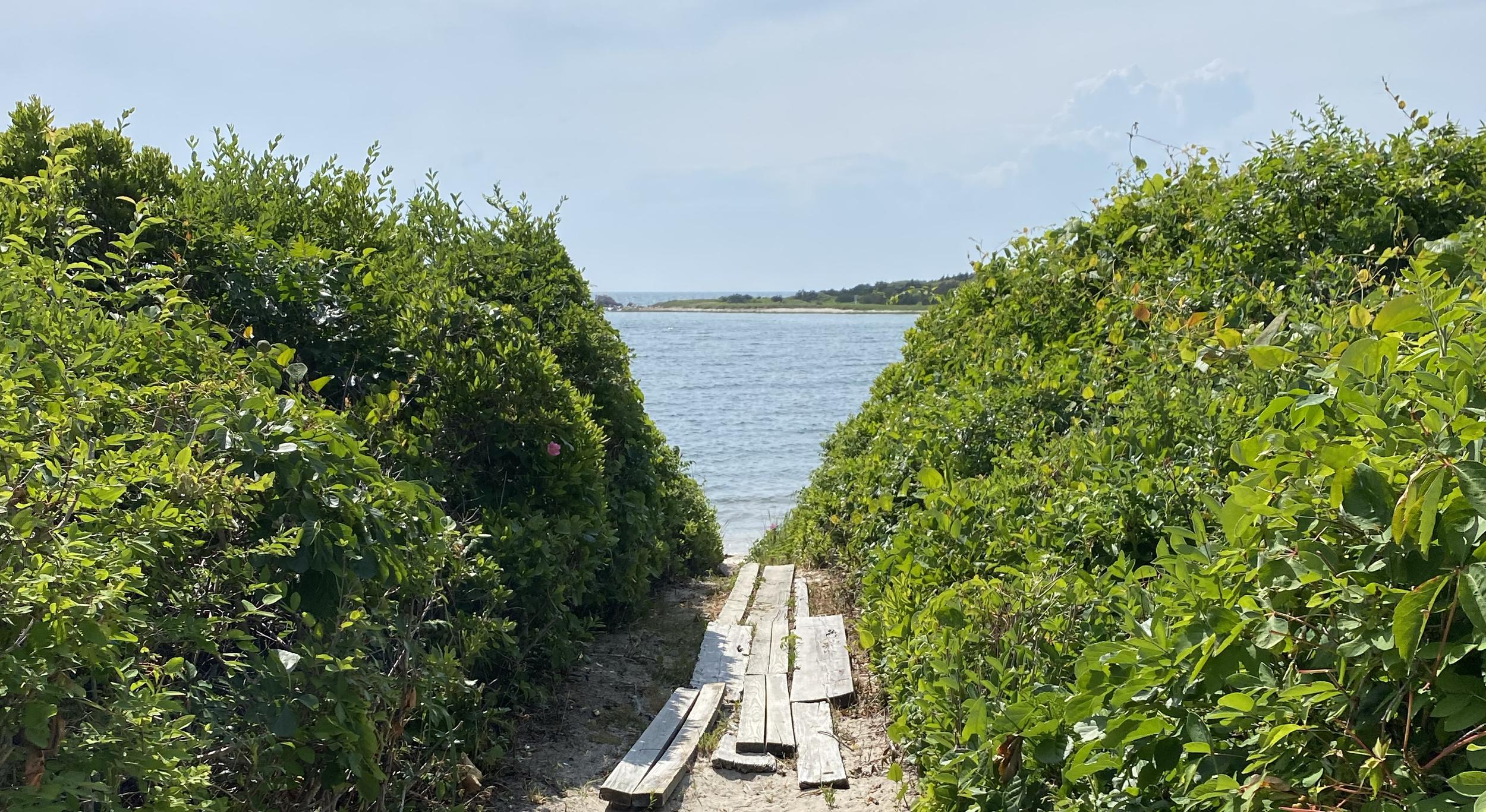 Footer image