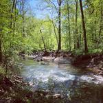 Difficult Run Stream Valley Trail, Georgetown Pike
