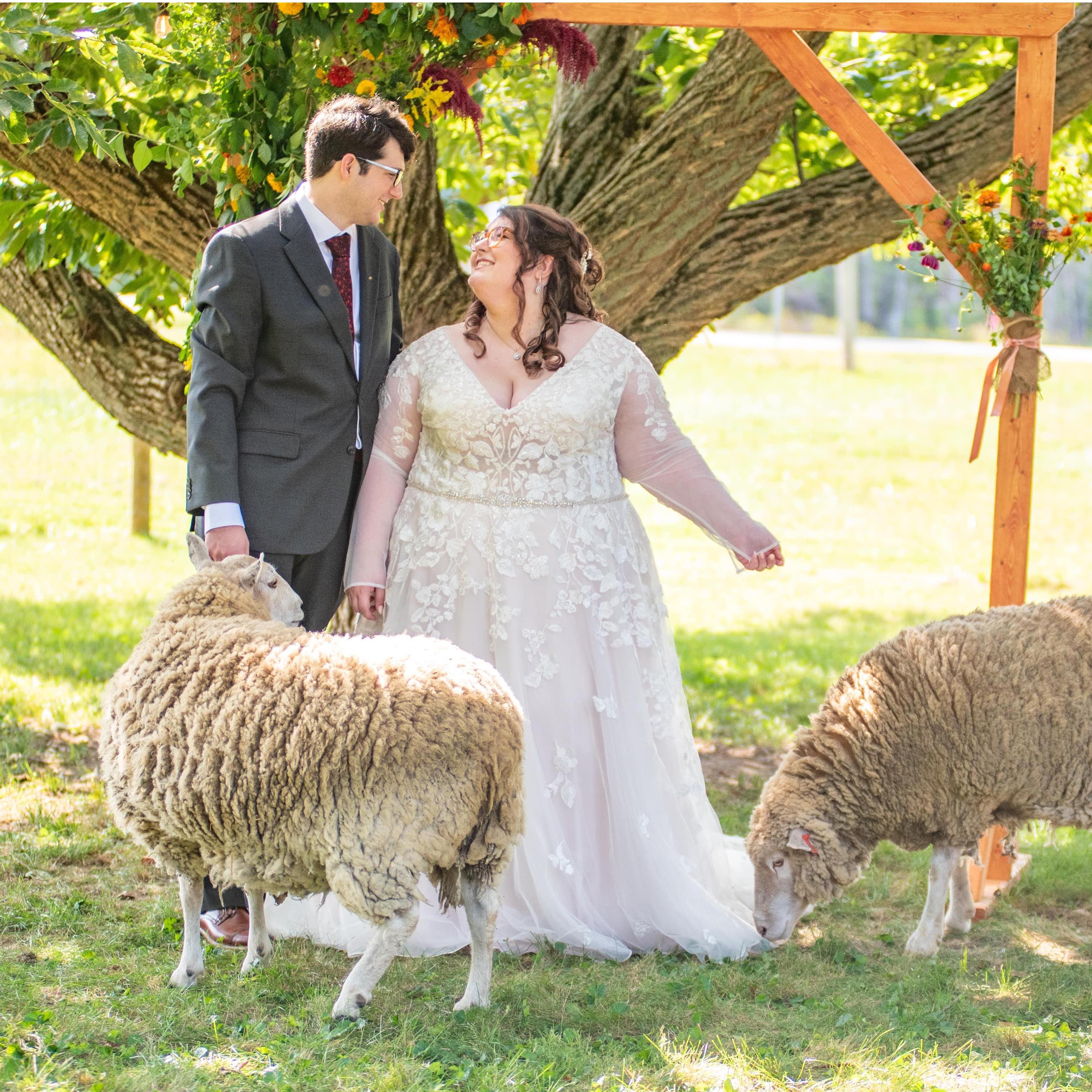 They began eating my bouquet