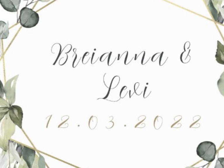 The Wedding Website of Levi Hill Jr and Breianna Dixon