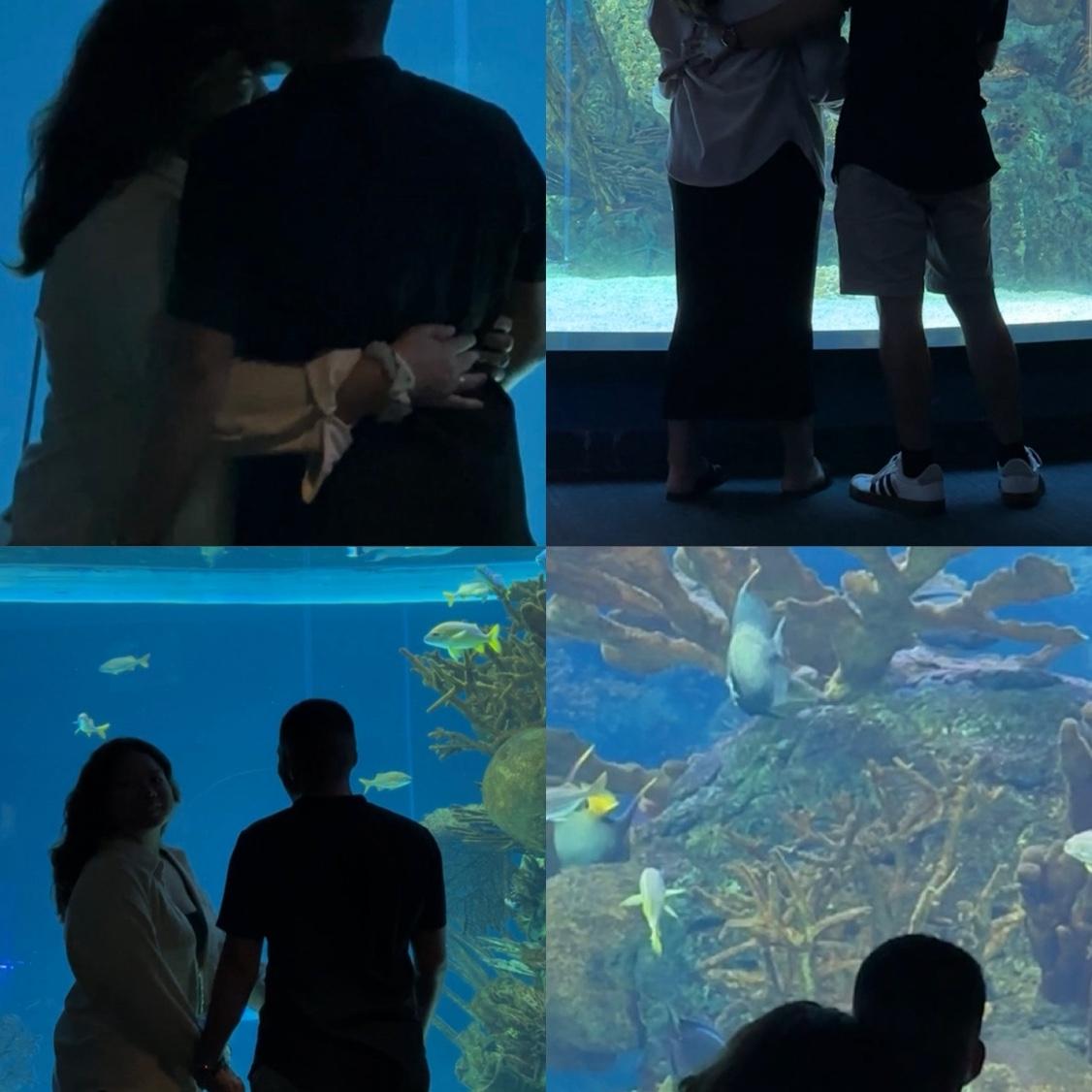 Our Aquarium Date in Corpus Christi 🐟🐠