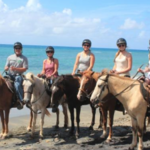 Horseback riding