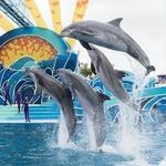 SeaWorld San Diego