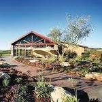Calcareous Vineyard