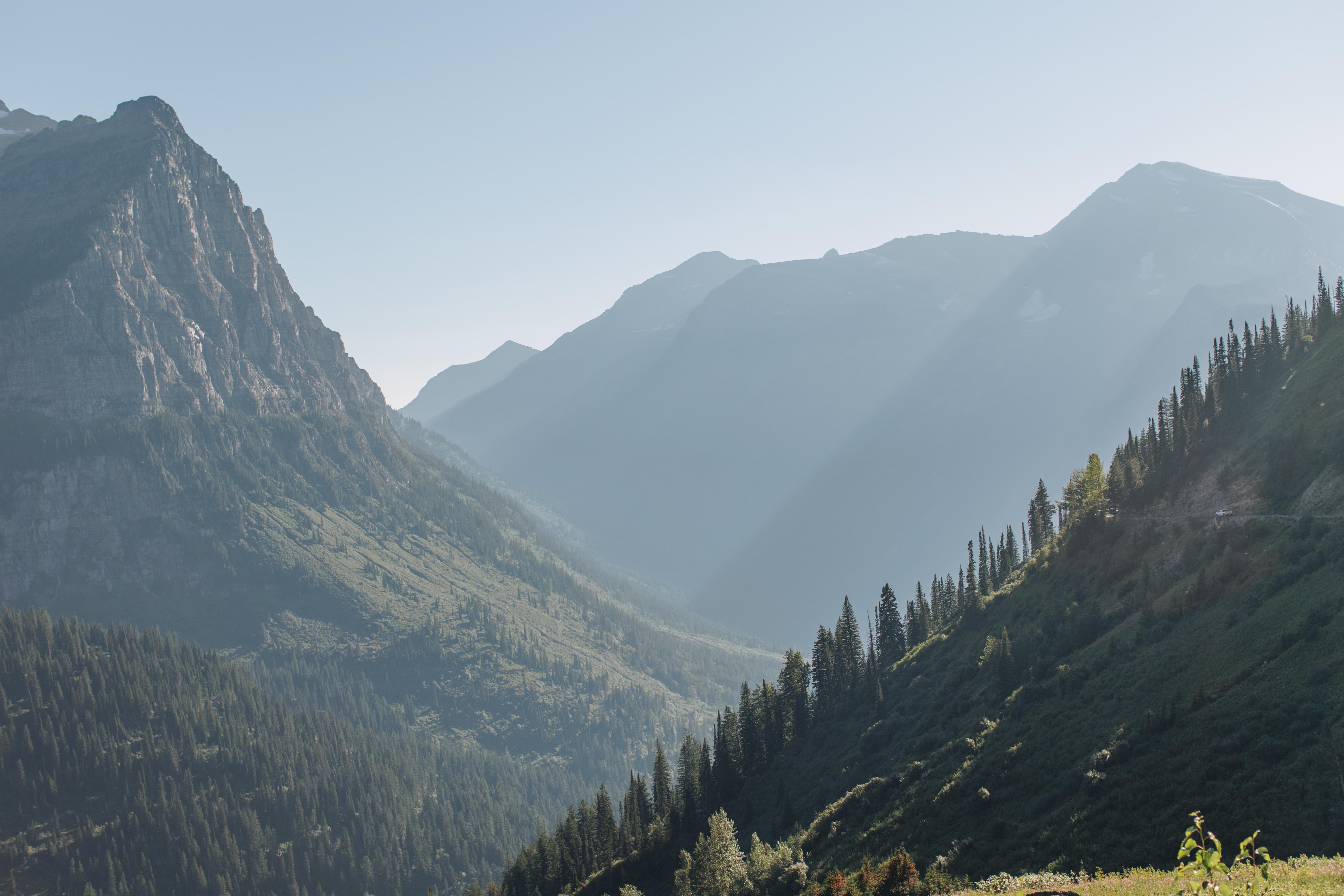 The Wedding Website of Sydney Reeve and David Fox