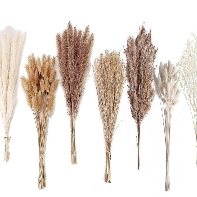 Dried Pampas Grass Decor, 128PCS Pampas Grass with Bunny Tails Dried Flowers, Reed Grass Bouquet for Wedding, Boho Flowers, Home Table Decor, Rustic Farmhouse Party